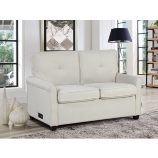Akeem 54.3" Tufted Back Pull-Out Sleeper Sofa