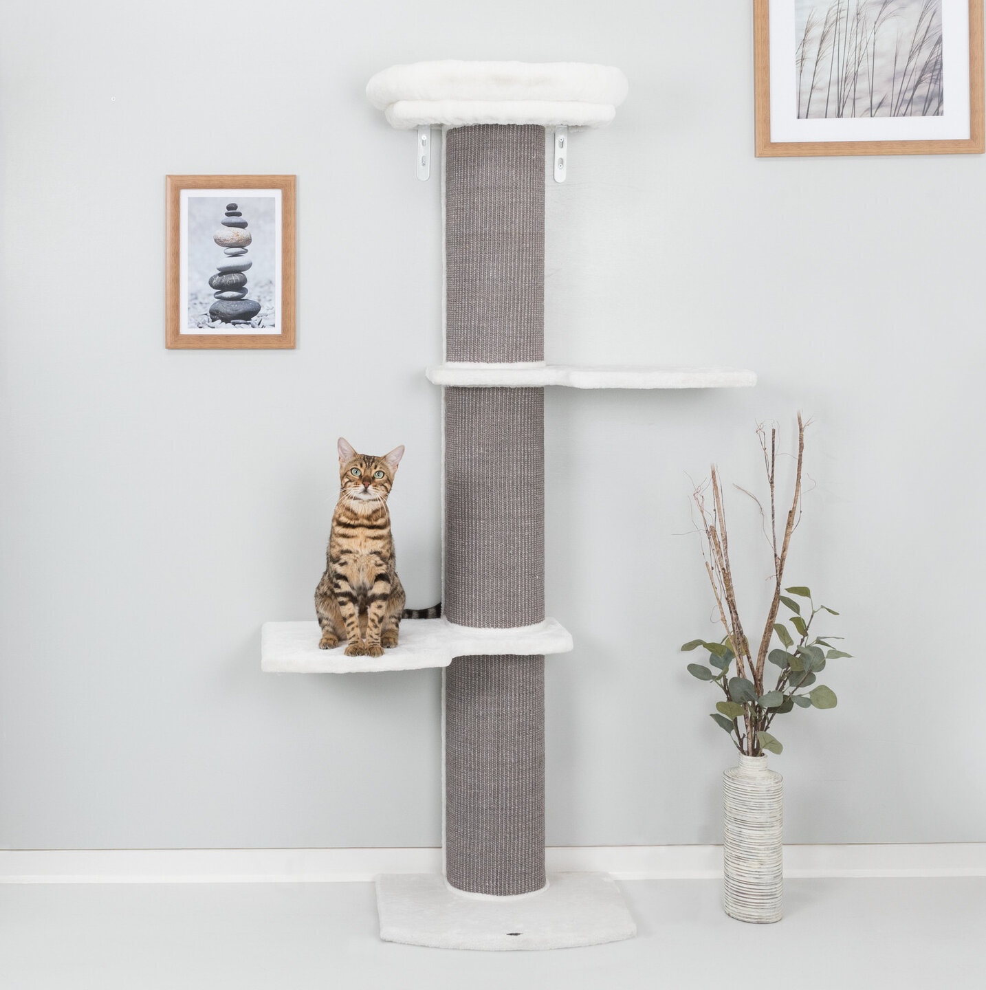 Alai 63" Cat Tree