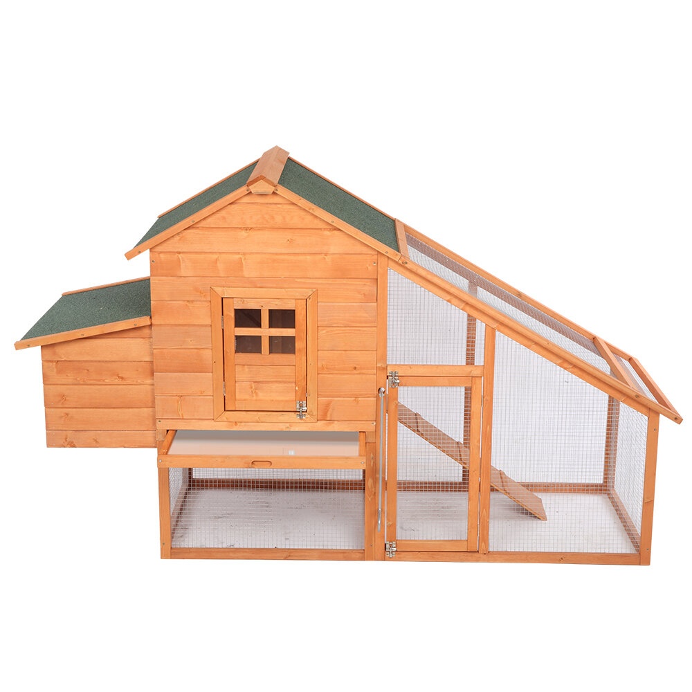 Alexzandria 23.7 Square Feet Chicken Coop