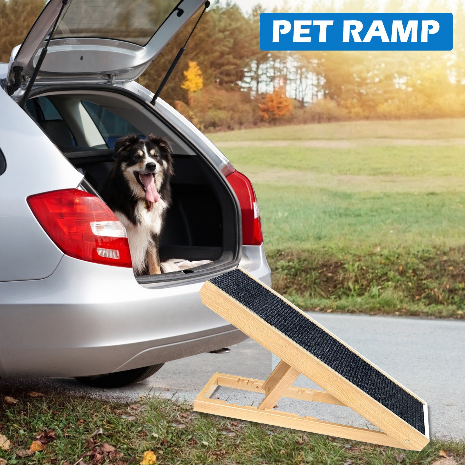 Dog clearance wedge ramp