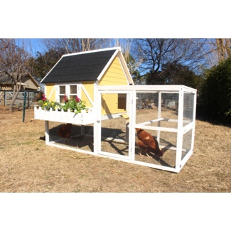 Anjonette 23.4 Square Feet with Chicken Run