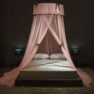 Antwaun Bed Canopy