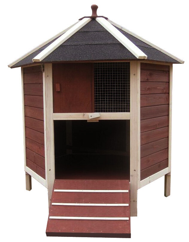 Aria 13.5 Square Feet Chicken Coop with Nesting Box