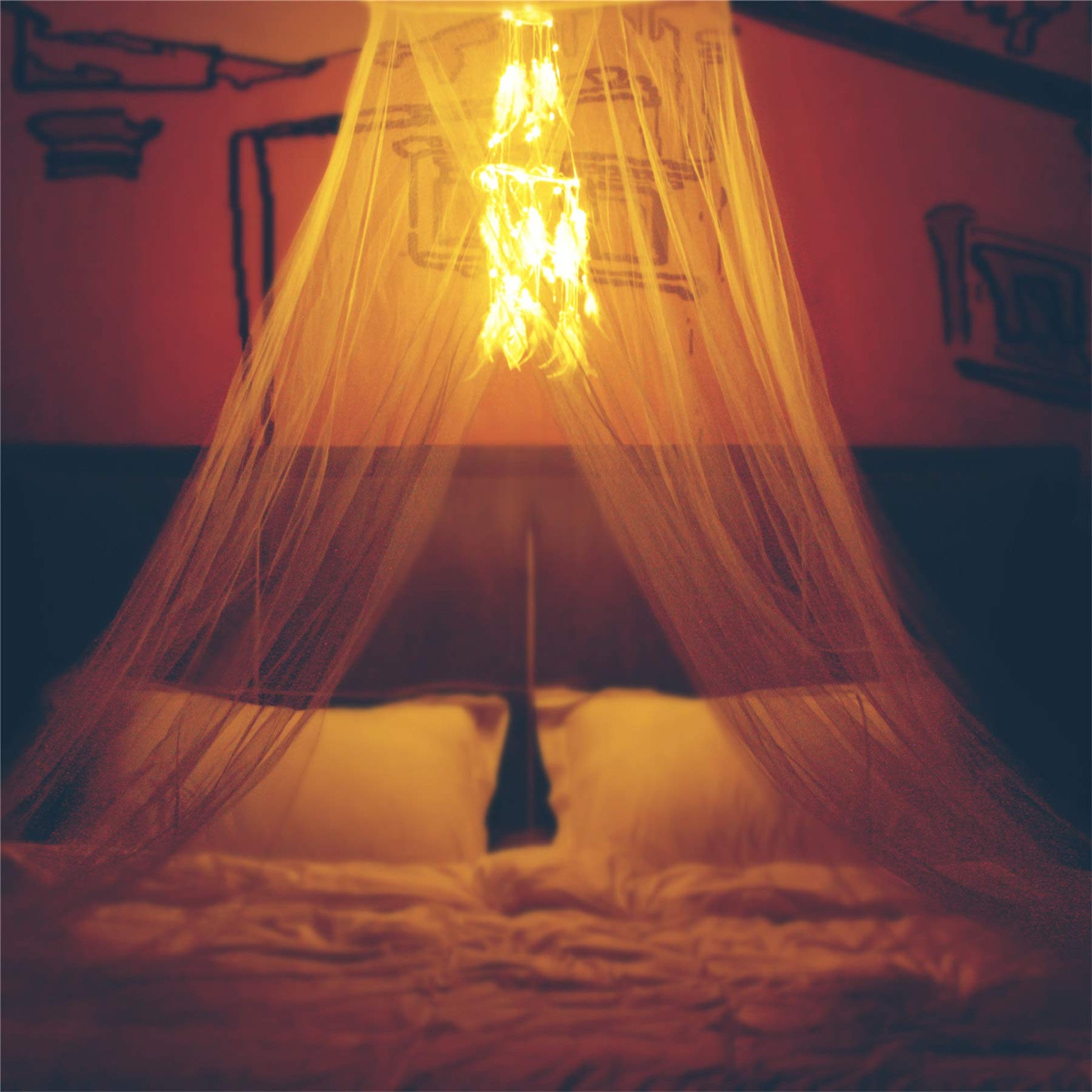 Bed Canopy