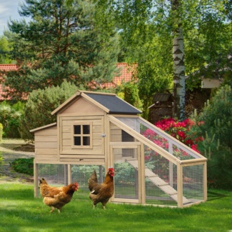 Camarena 20.9 Square Feet Chicken Coop with Chicken Run