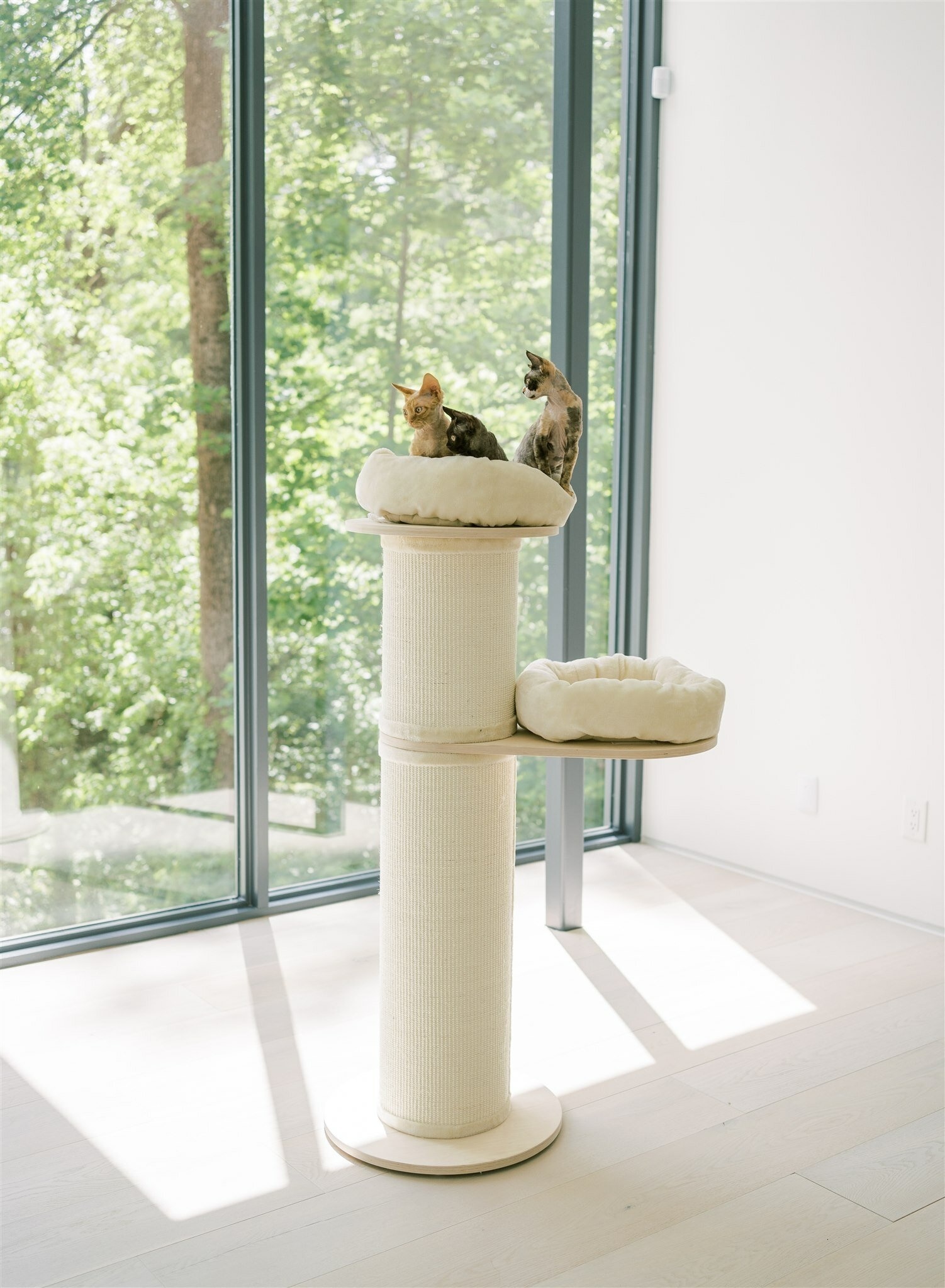 Crockett Pet Lux Scratching Post