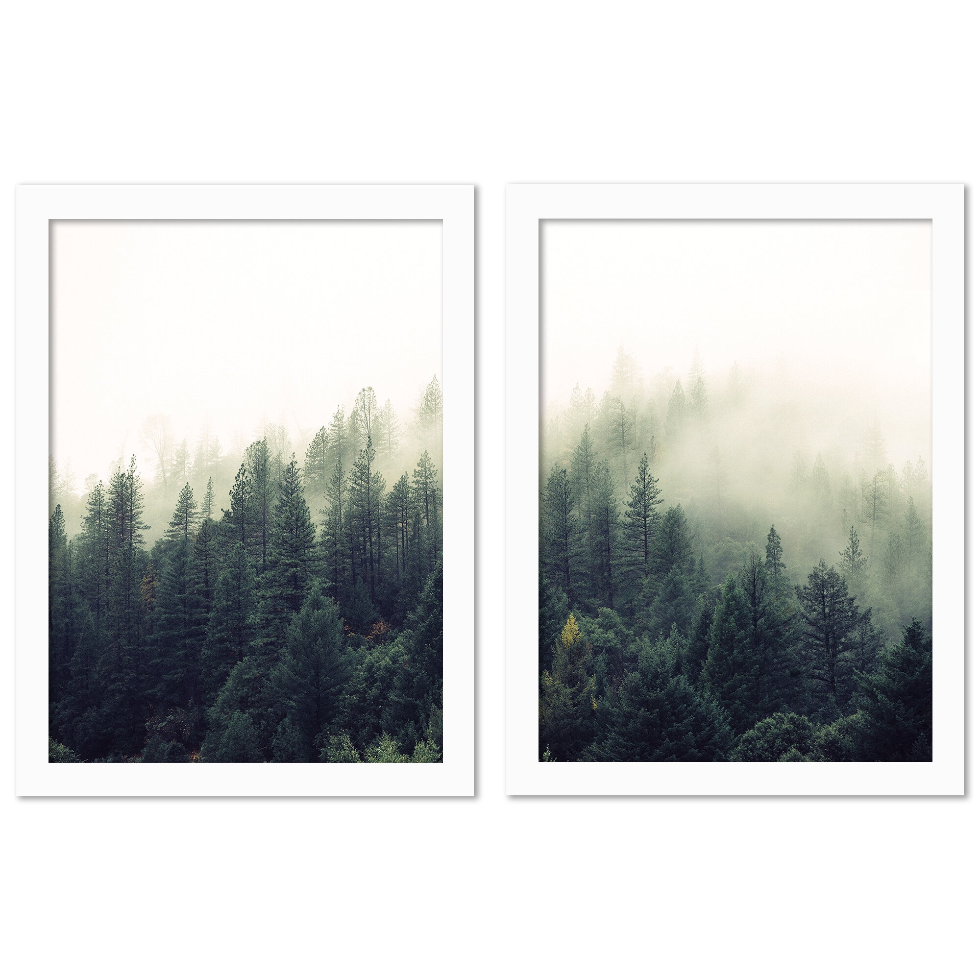 Forest Art by Tanya Shumkina - 2 Piece Photograph on Canvas