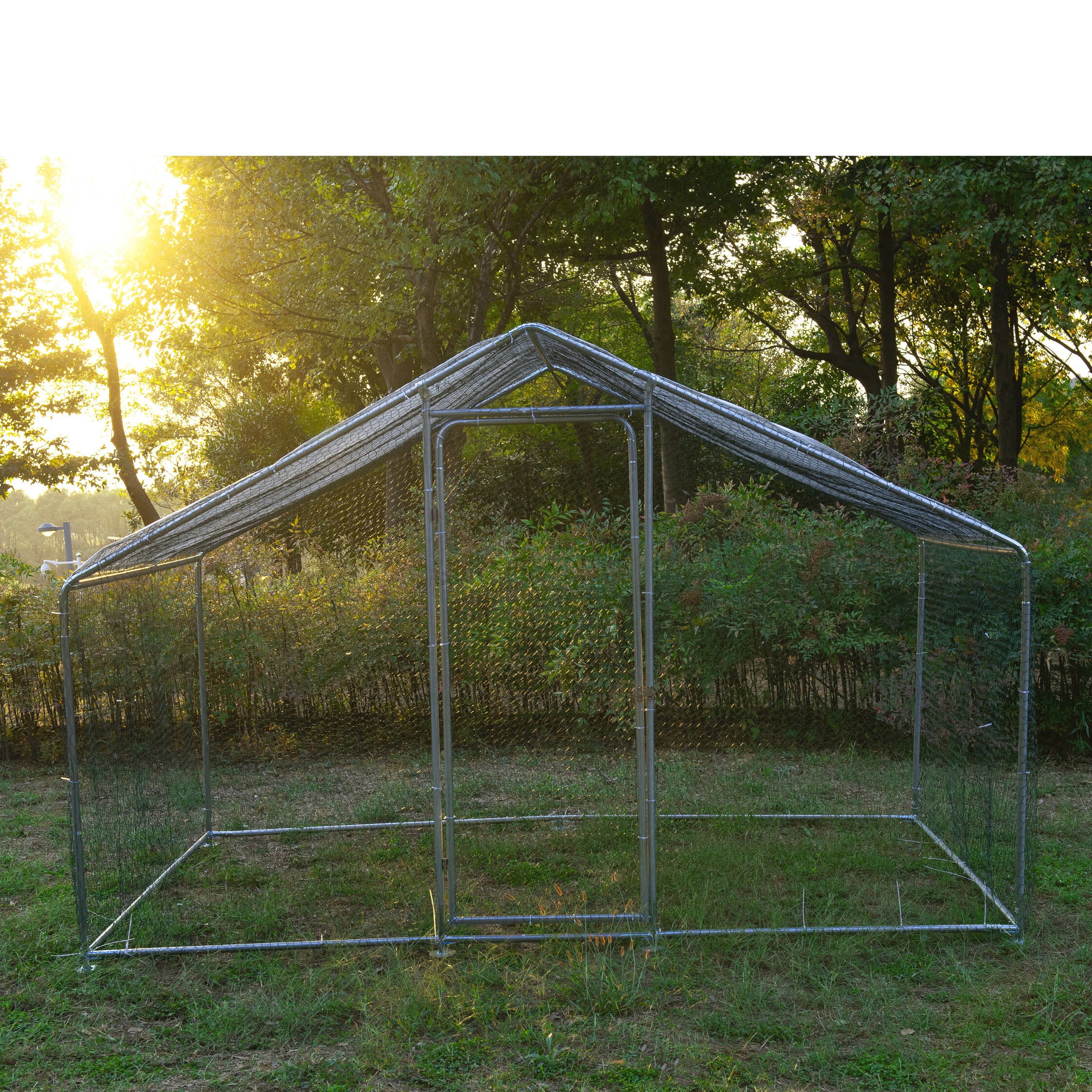 Francisco 66 Square Feet with Chicken Run