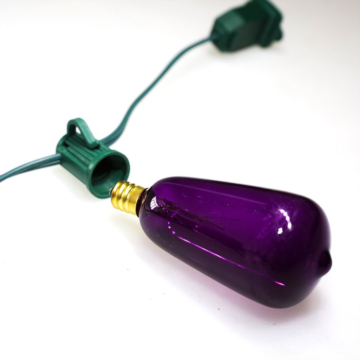 Gustave 12'' Indoor 10 - Bulb Standard String Light