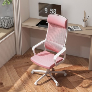 Hoffman Mesh Task Chair