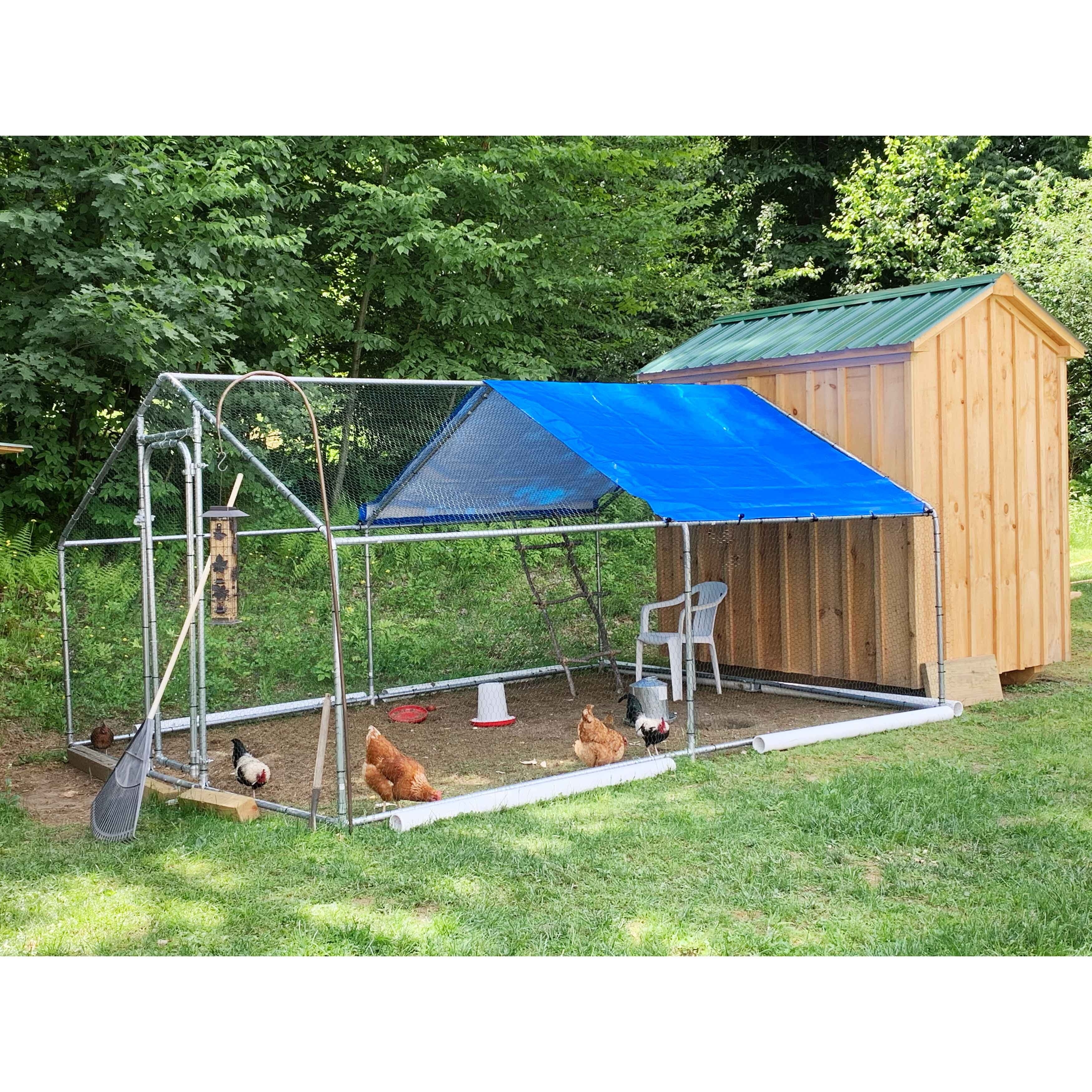 Holden 65 Square Feet Chicken Run
