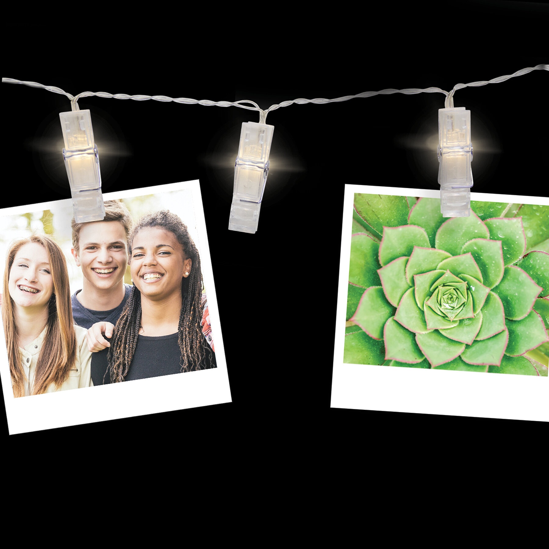 Hyer 4.5'' Indoor LED Battery Powered 24 - Bulb Novelty String Light