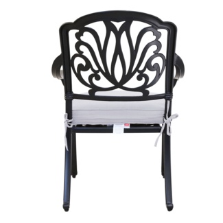 Kraatz Set Of 2 Aluminum Cast Silver Patio Chairs with Cushions