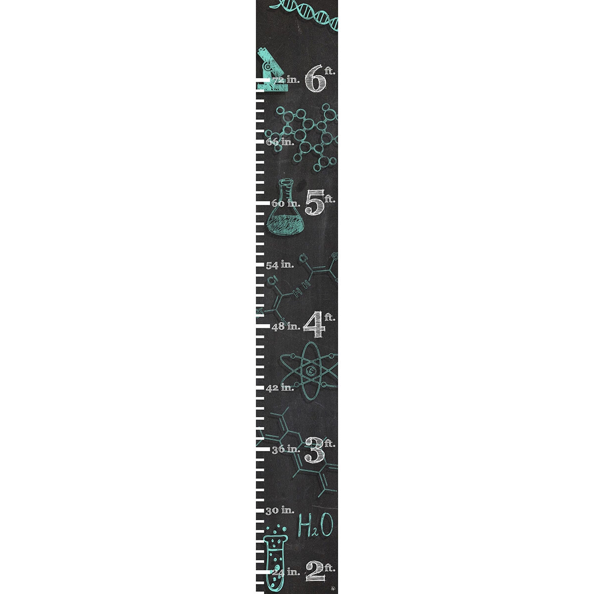 Leda Science Equations Personalized Growth Chart