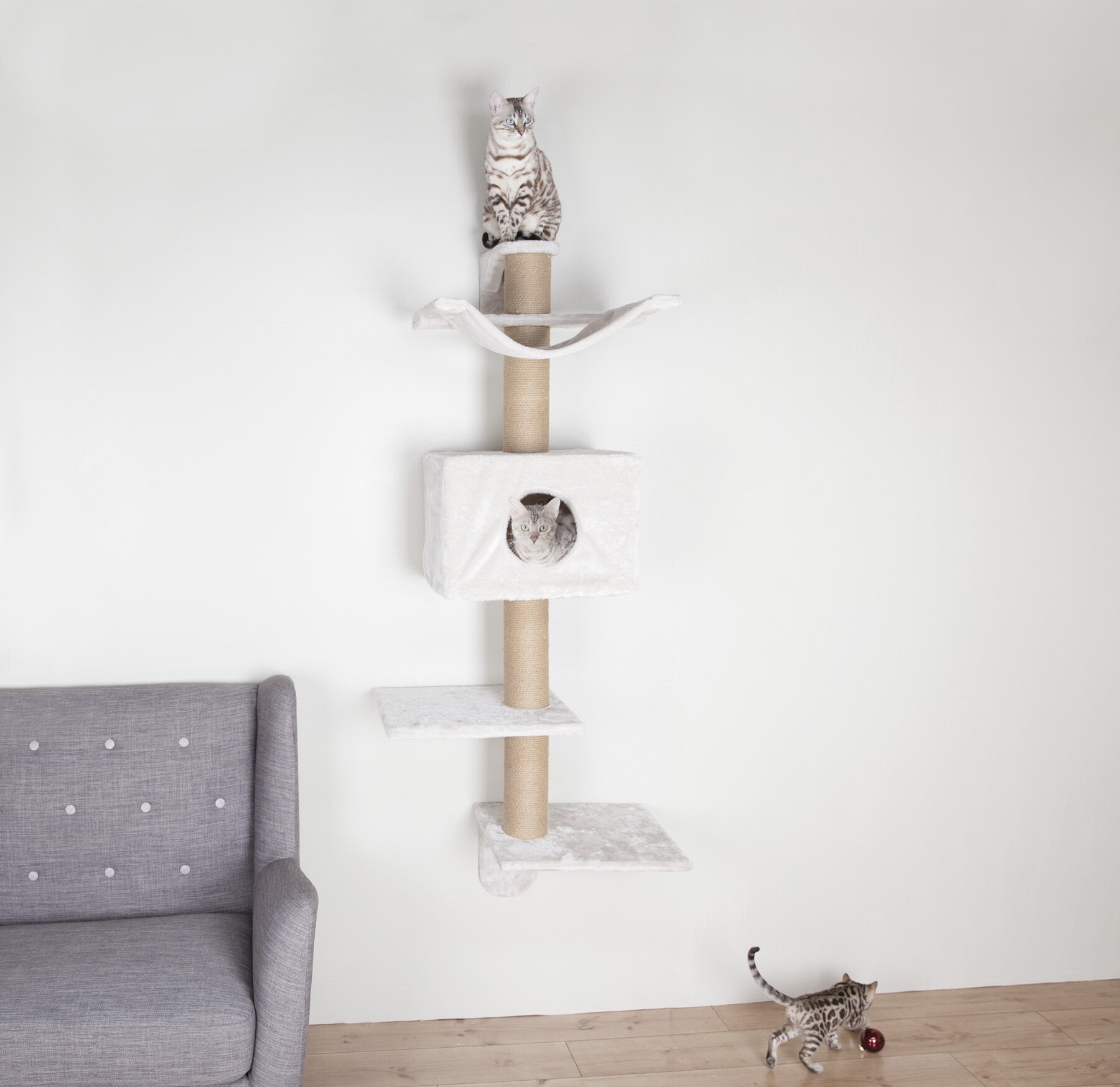 Tall Cat Scratching Post VisualHunt