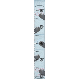 Mishti Hockey Personalized Growth Chart