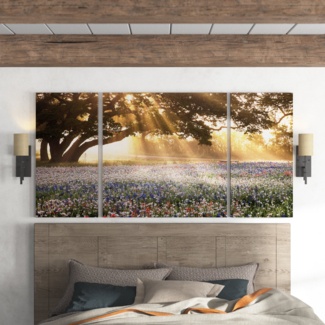 Morning Meadow Sunrise - 3 Piece on Canvas