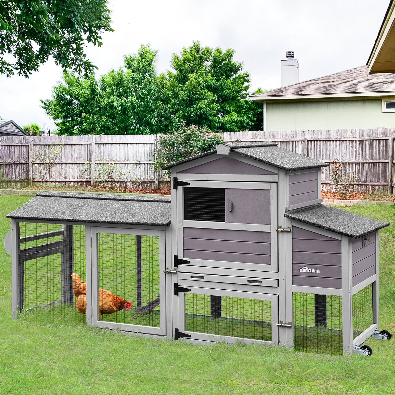 Duck Coop For Sale - VisualHunt