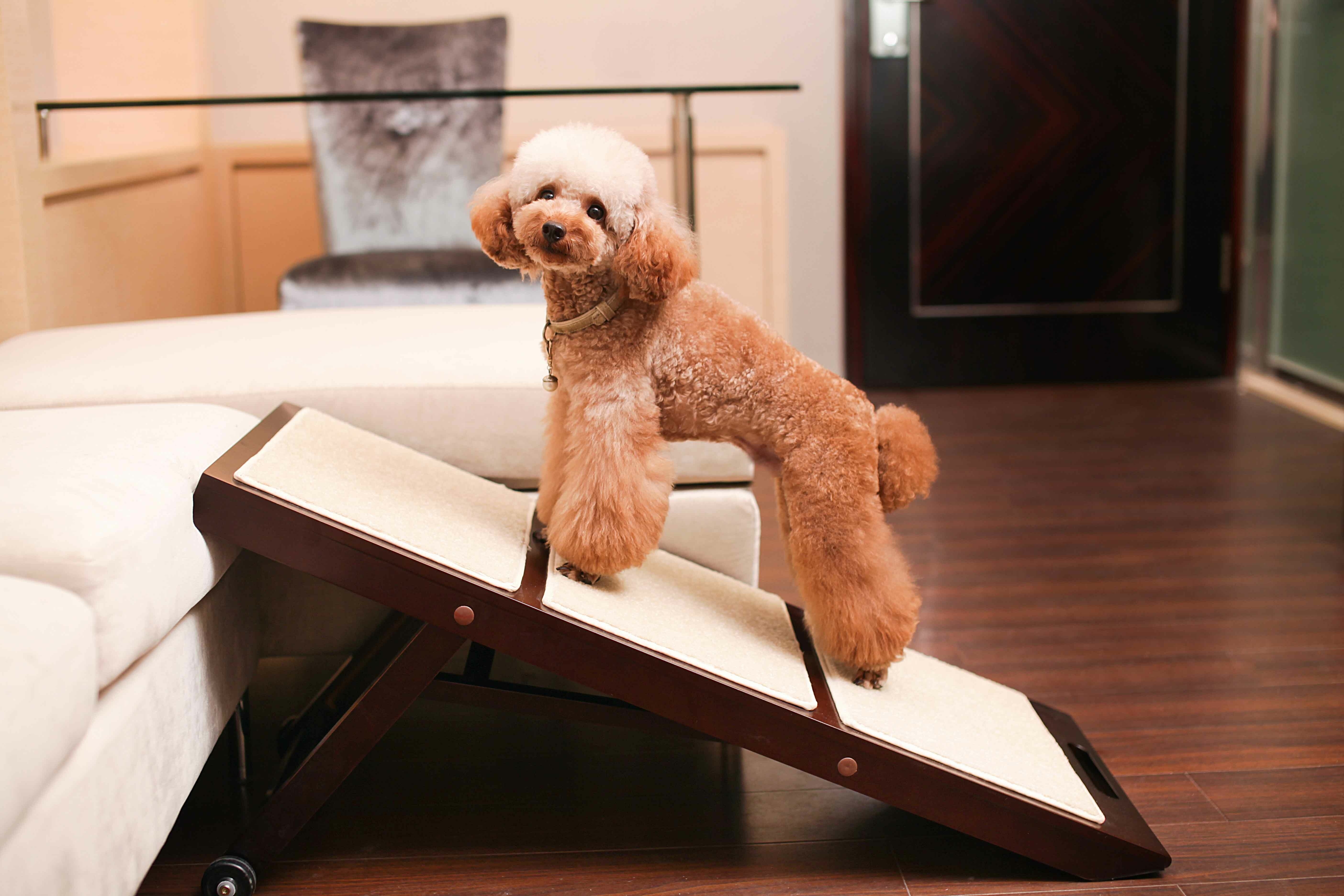 Octavia Collapsible 33.5" Pet Ramp