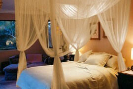 White Bed Canopy