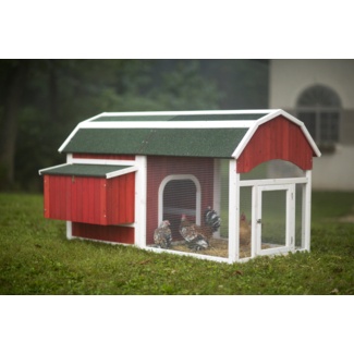 Pavlof 22.2 Square Feet Chicken Coop with Chicken Run