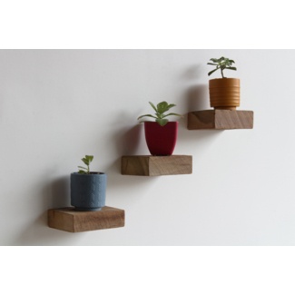 Salomon 3 Piece Solid Wood Floating Shelf with Reclaimed Wood