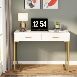 Secil 39.37'' Desk