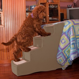 Pet gear easy step 2024 bed stair for dogs