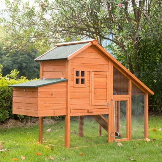 Thorp 20.6 Square Feet Chicken Coop with Chicken Run