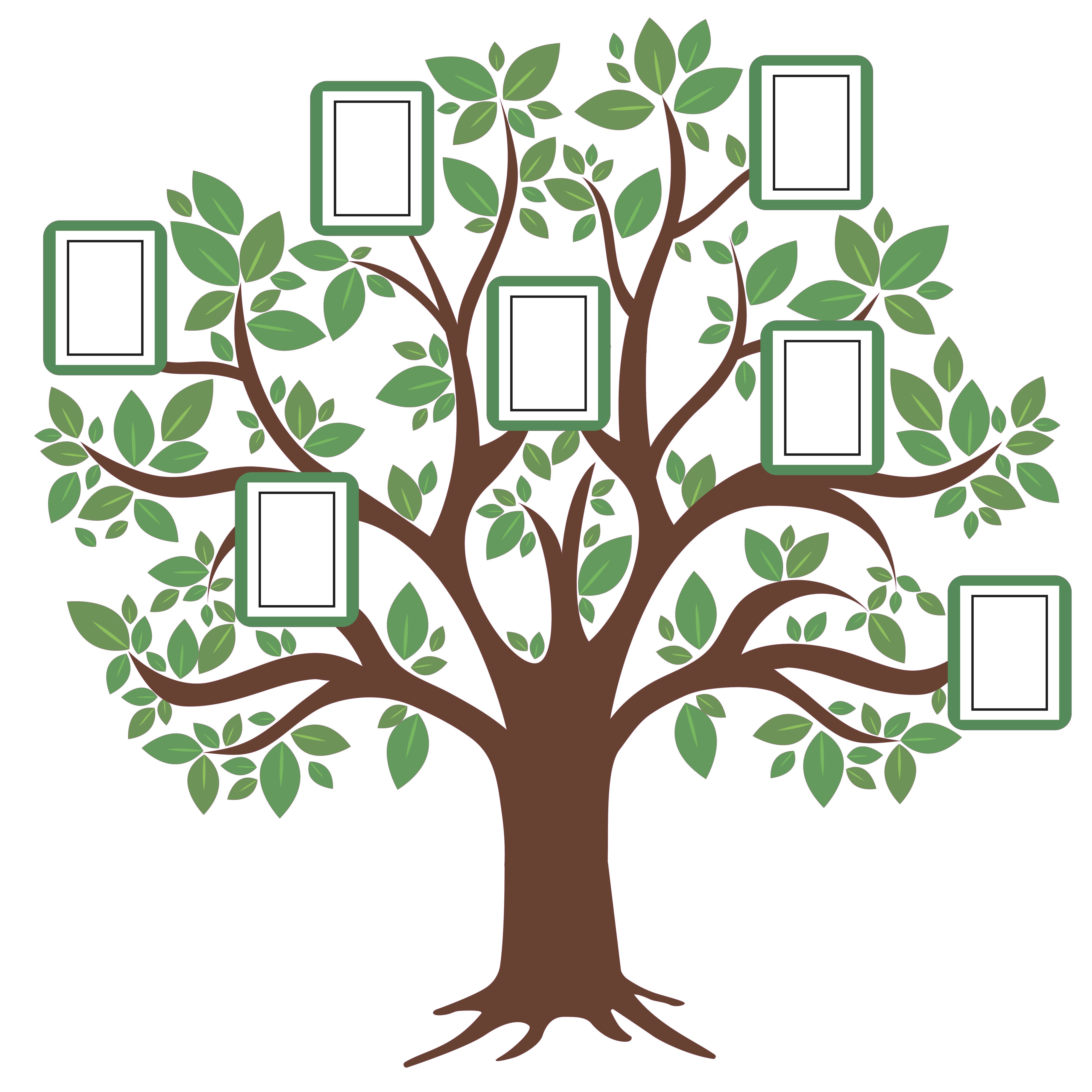 Family Tree Wall Decal - VisualHunt