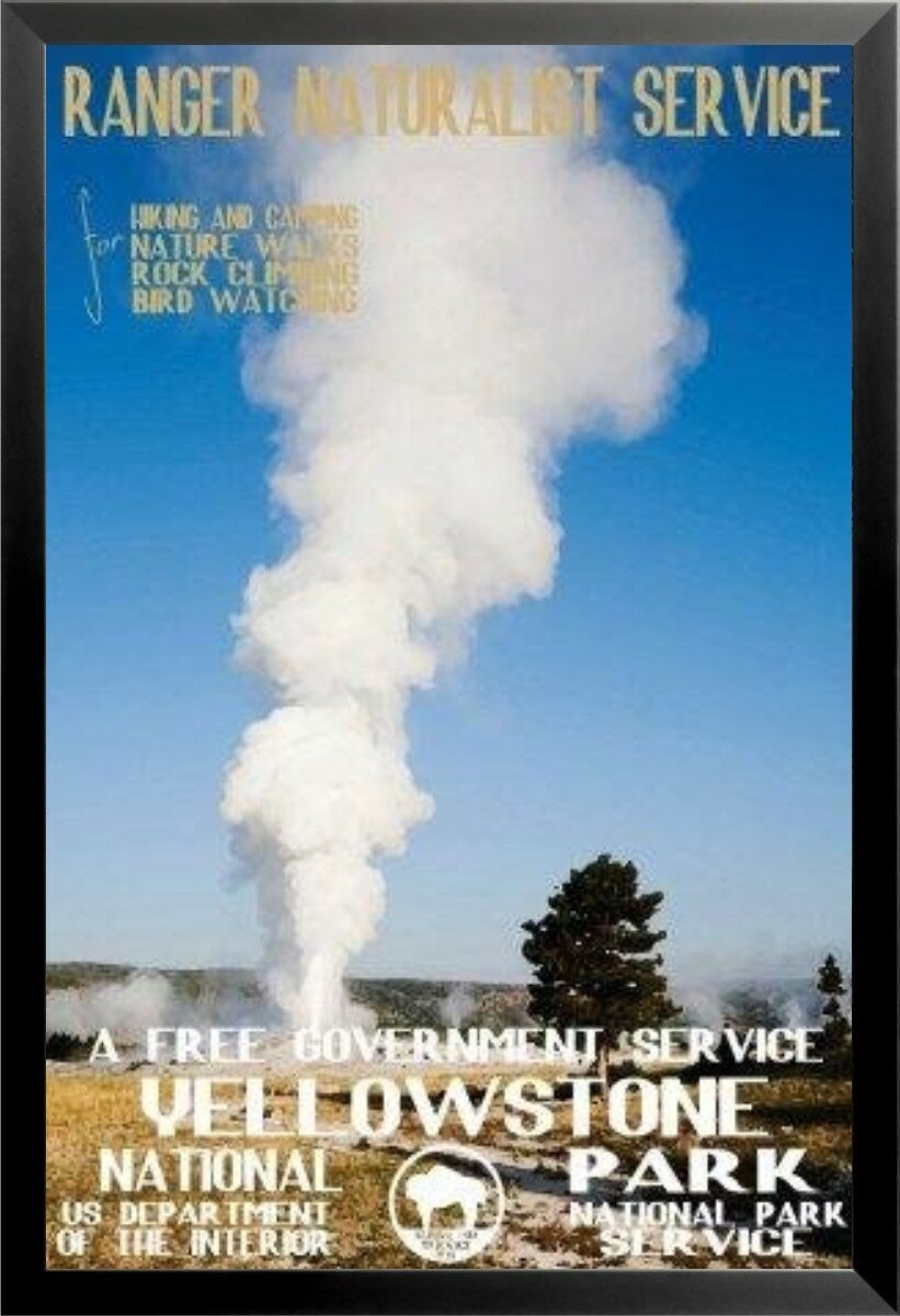 Yellowstone National Park Service Poster - Single Picture Frame Graphic Art