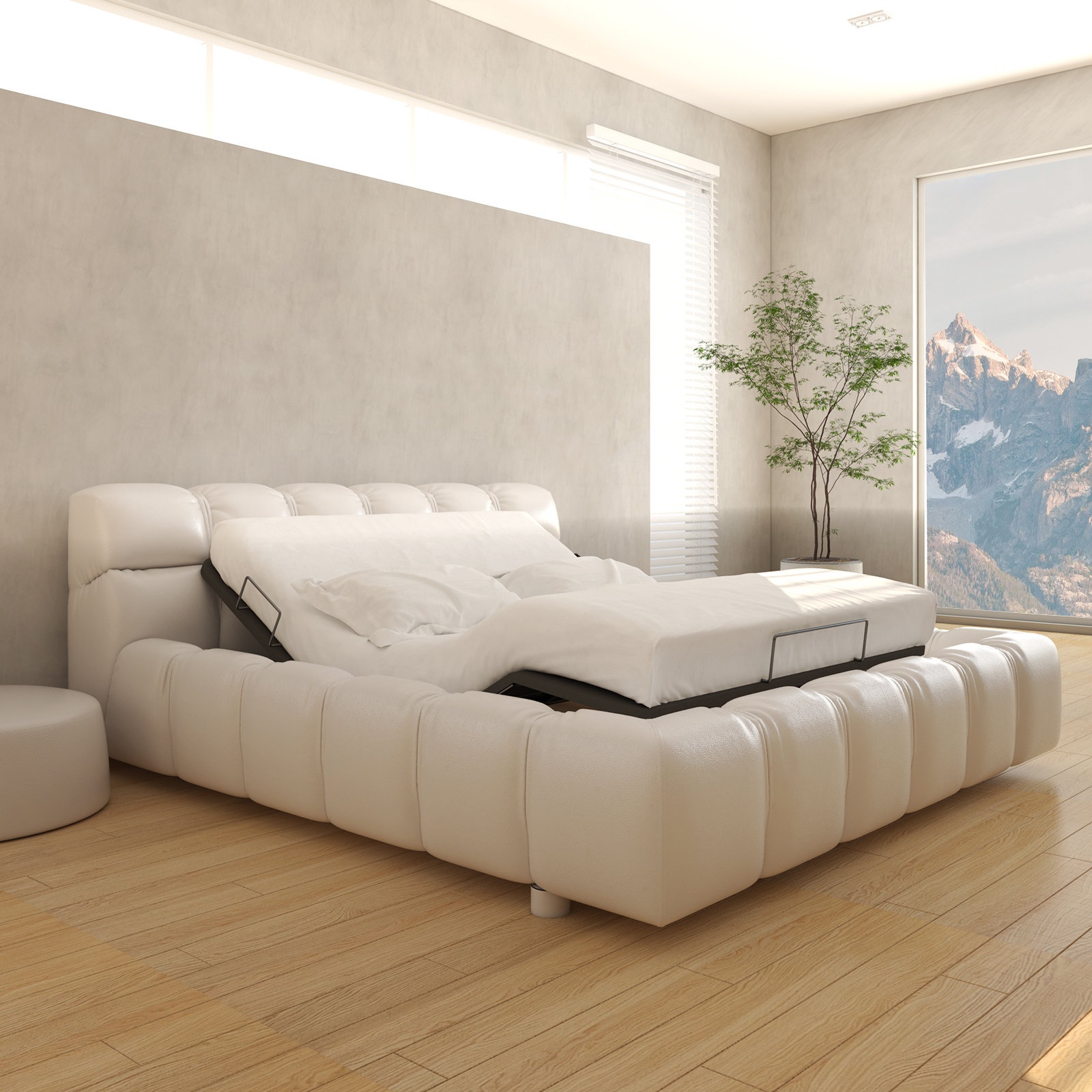 Zero Gravity Adjustable Bed with Wireless Remote