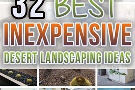 Inexpensive Desert Landscaping Ideas