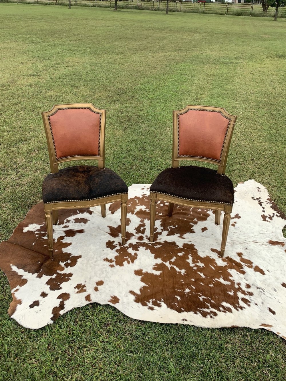 Accent Chair Gilded Frame Gold Cowhide Chairs Rental