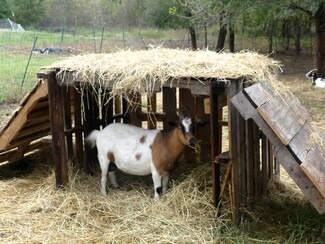 Animal Shelter DIY Pallet Construction with Straw Thatched Roof