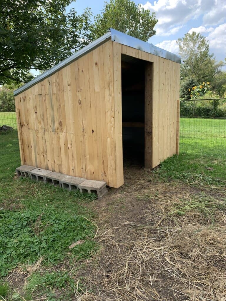 Animal Shelter Slanted Shed Roof and Cinder Block Base Design