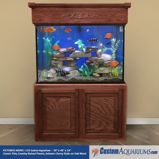 Aquarium Autumn Cherry Stain Set and Carved Scroll Wood Hood
