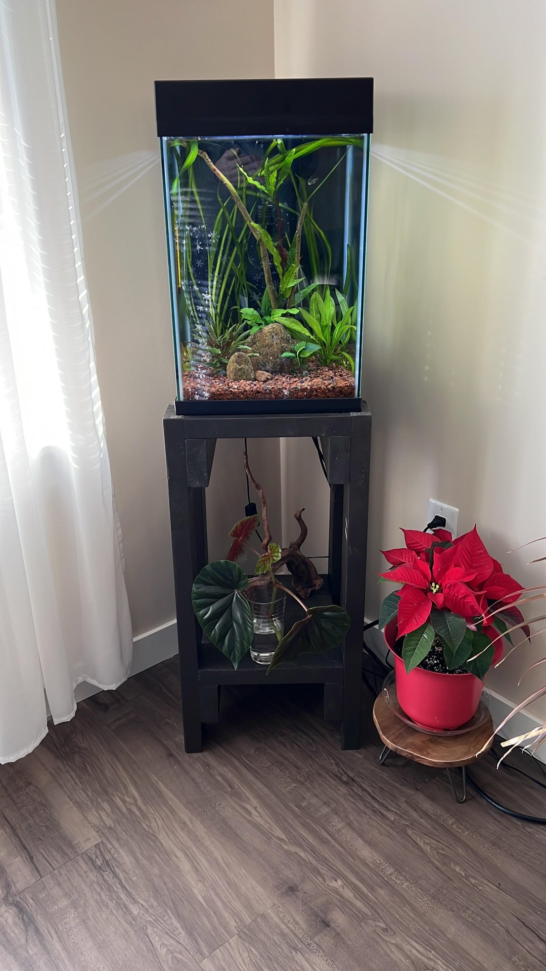 Aquarium Setup Tall Form Factor with Matte Black Stand Decor
