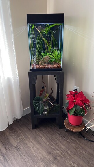 Aquarium Setup Tall Form Factor with Matte Black Stand Decor