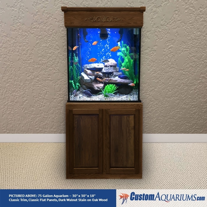 Tall Fish Tank