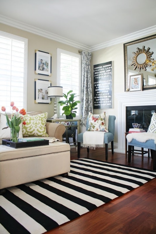 Area Rug Horizontal Pattern Bold Stripes Living Room Statement Rug