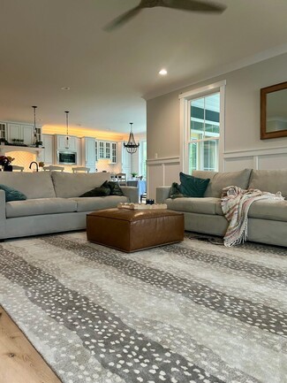 Area Rug Modern Palette Transitional Living Room Rug