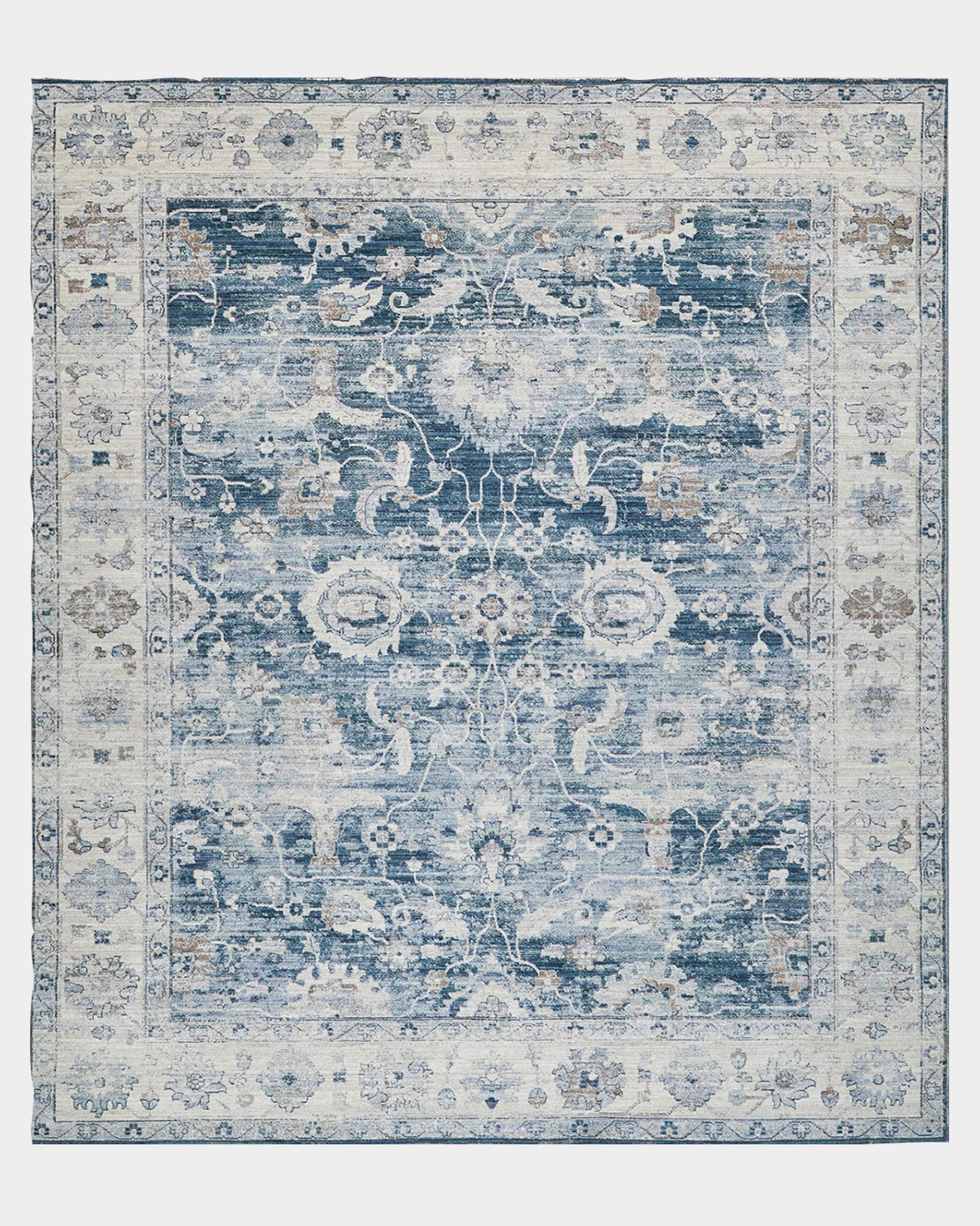 Area Rug Ornate Floral Border Distressed Traditional Rug