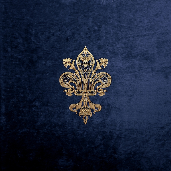 Beach Towel | Gold Filigree Navy Velvet Texture Gold Fleur-de-lis Towel