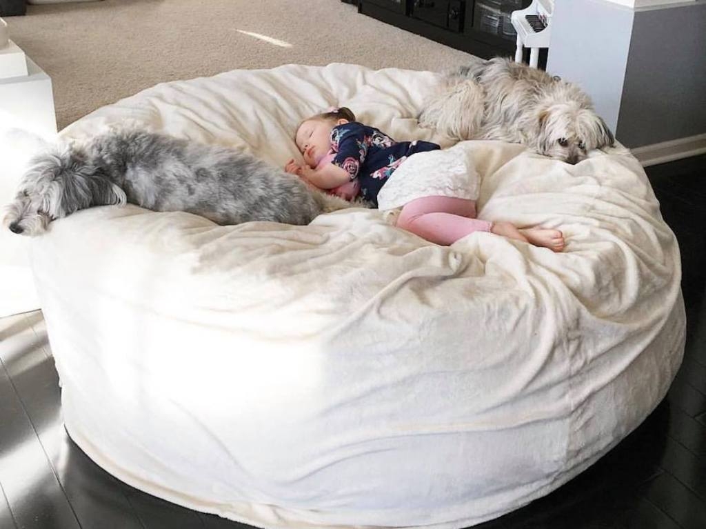 Bean Bag Chair: Relaxed Form Giant Plush Floor Seat