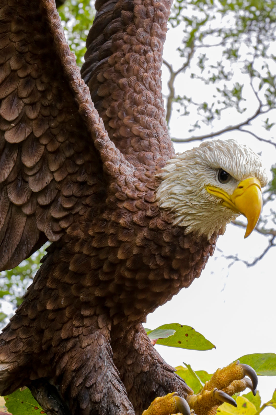 Bird Sculpture Majestic Eagle Garden Statue Sharp Talons Textured