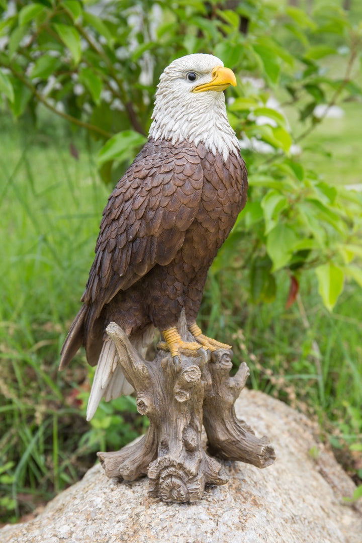 Bird Statue Rustic Decor Bald Eagle Tree Stump Base Curved Talons