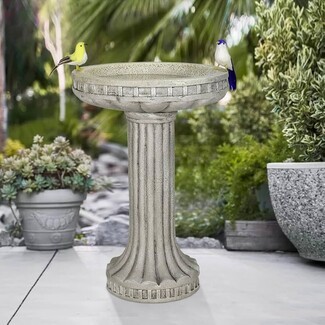 Birdbath with Fluted Pedestal and Geometric Rim Detail