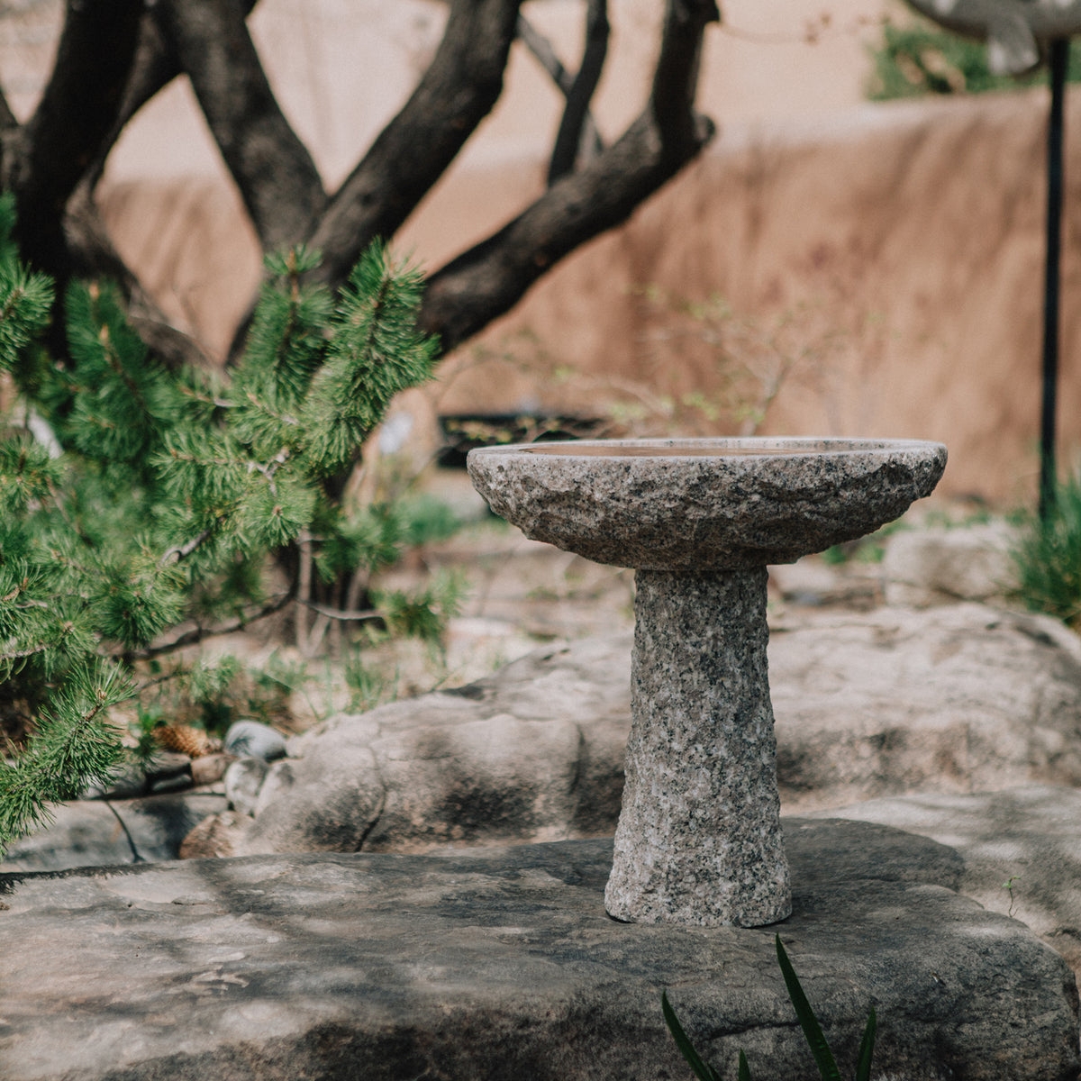 Birdbath with Rough Hewn Stone and Shallow Garden Basin