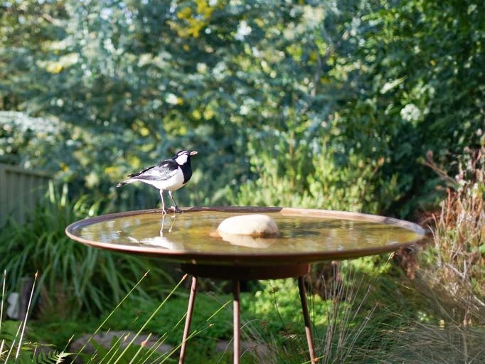 Birdbath with Shallow Dish and Rusted Bronze Patina